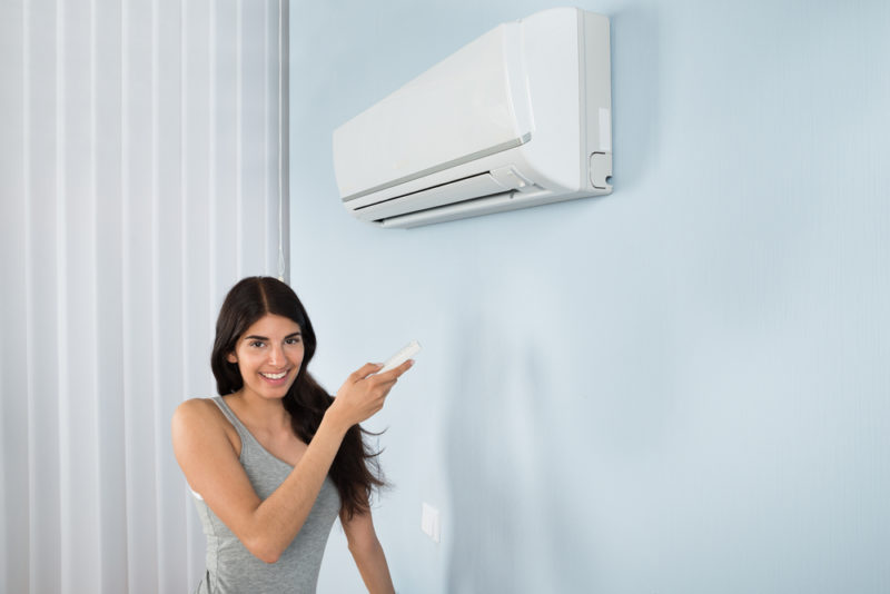 Ductless Mini Splits in Canonsburg, PA