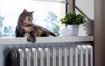 4 HVAC Maintenance Tips for Pet Owners in Venetia, PA