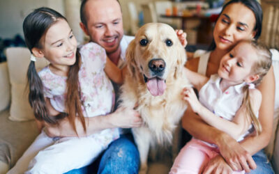 Protect Your Household with Annual Furnace Maintenance in Canonsburg, PA